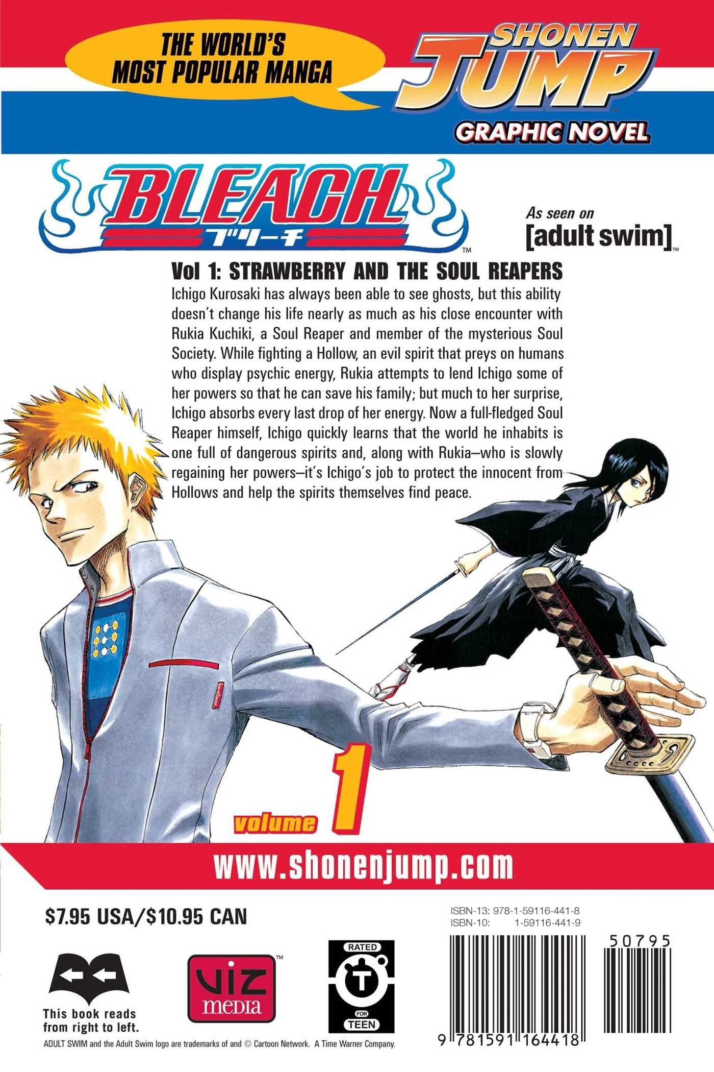 Bleach Volume 1 (arabic version)