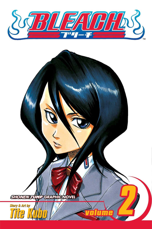 Bleach, Volume 02 (arabic version)