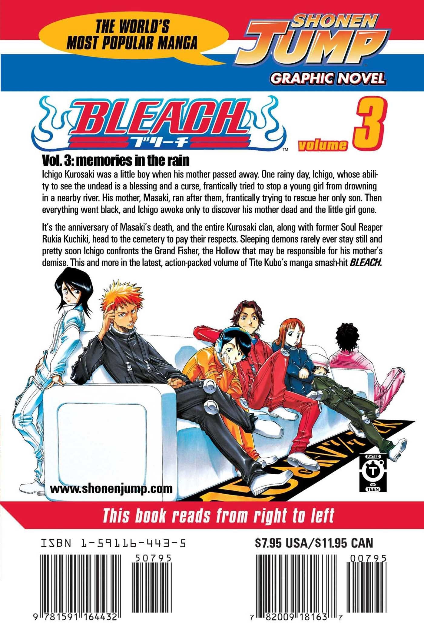 Bleach, Volume 03 (arabic version)