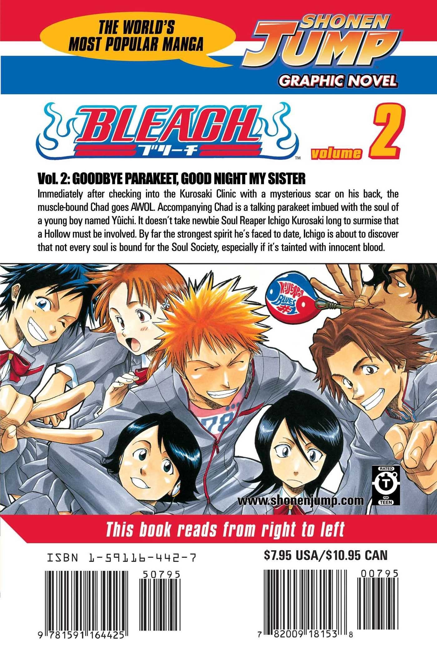 Bleach, Volume 02 (arabic version)